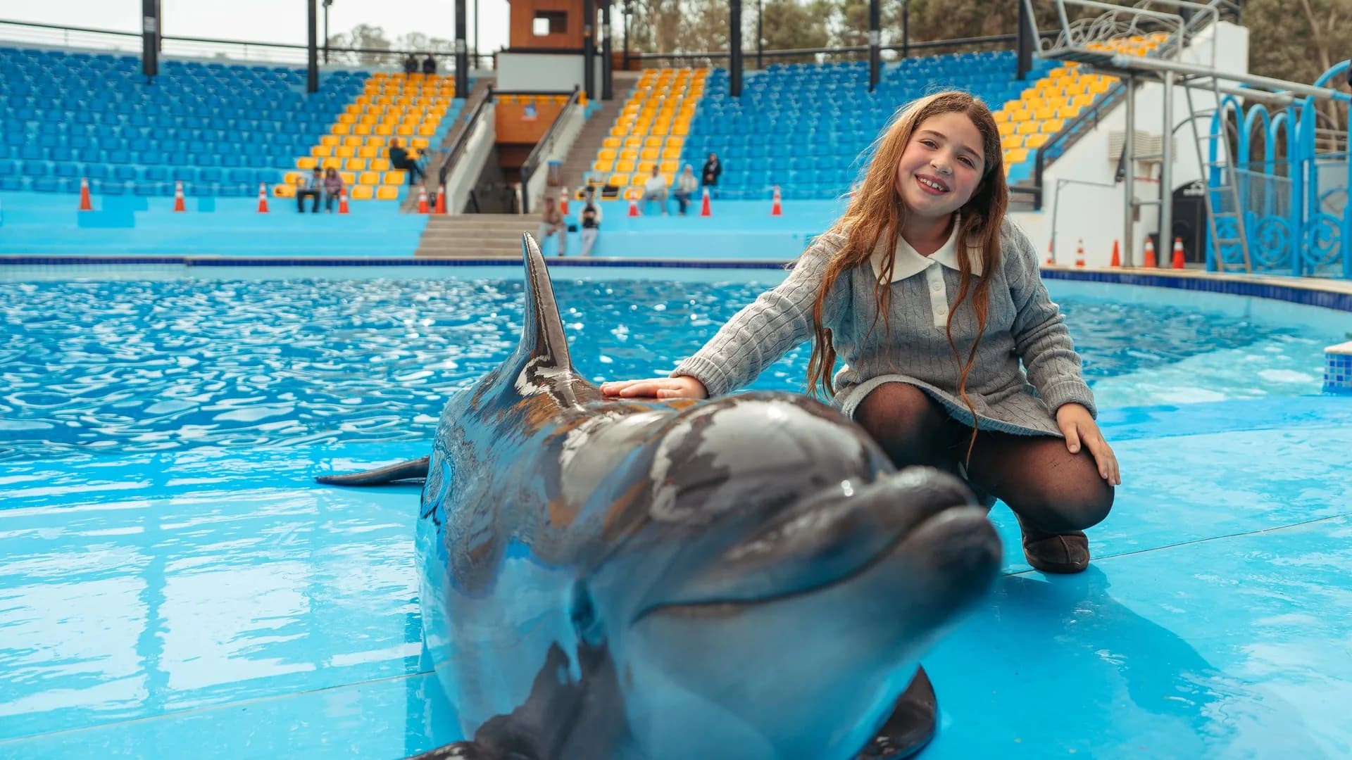 Dolphins performing at the Dolphinarium
