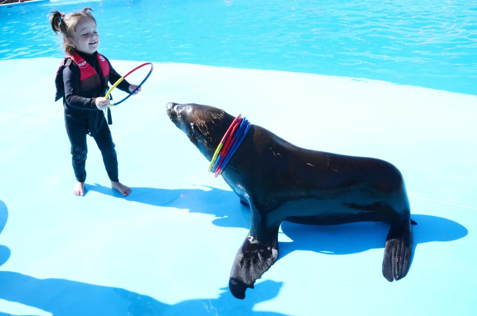 A child holding a hoop for a sea lion