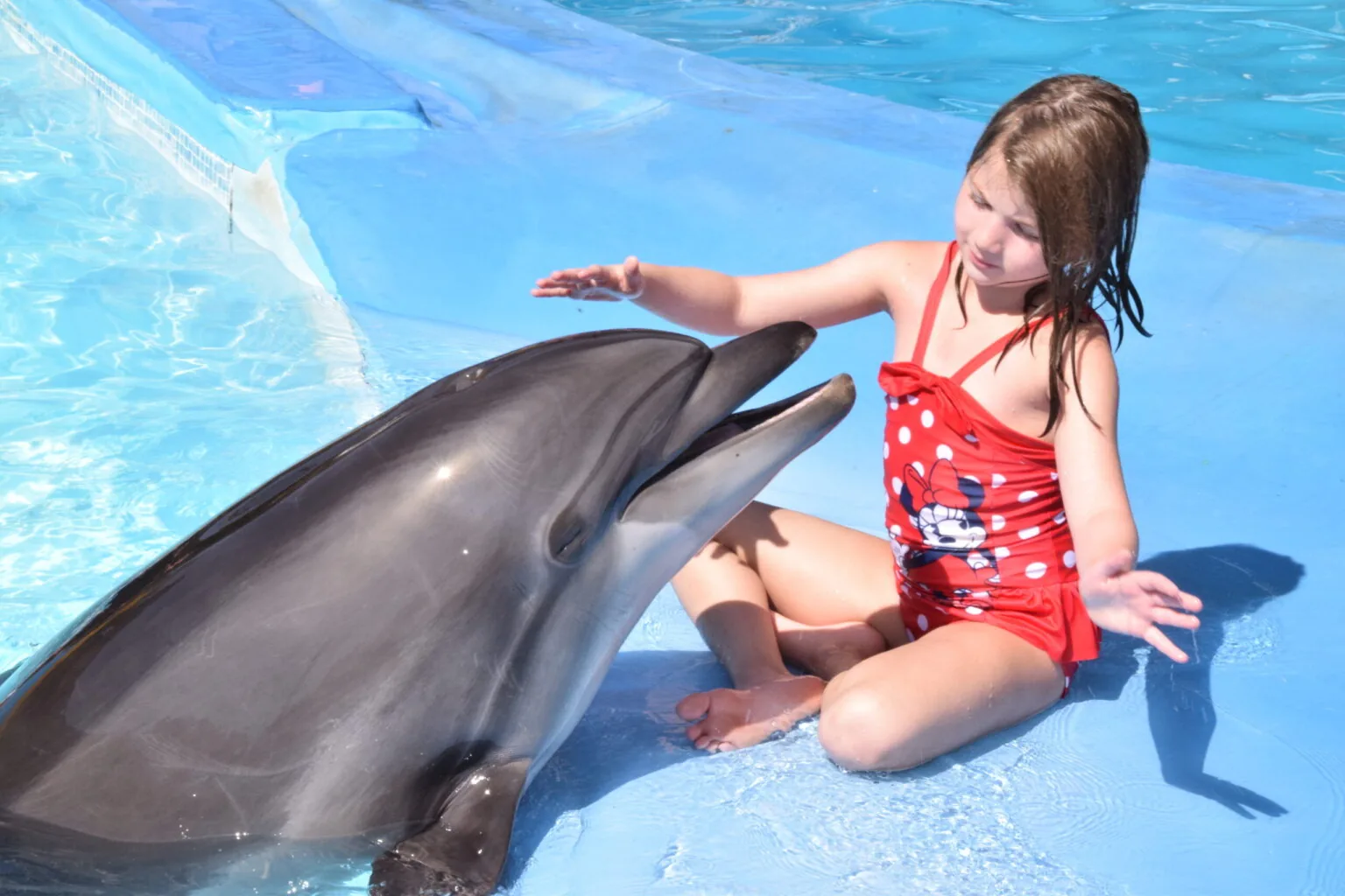 A moment from the dolphin show