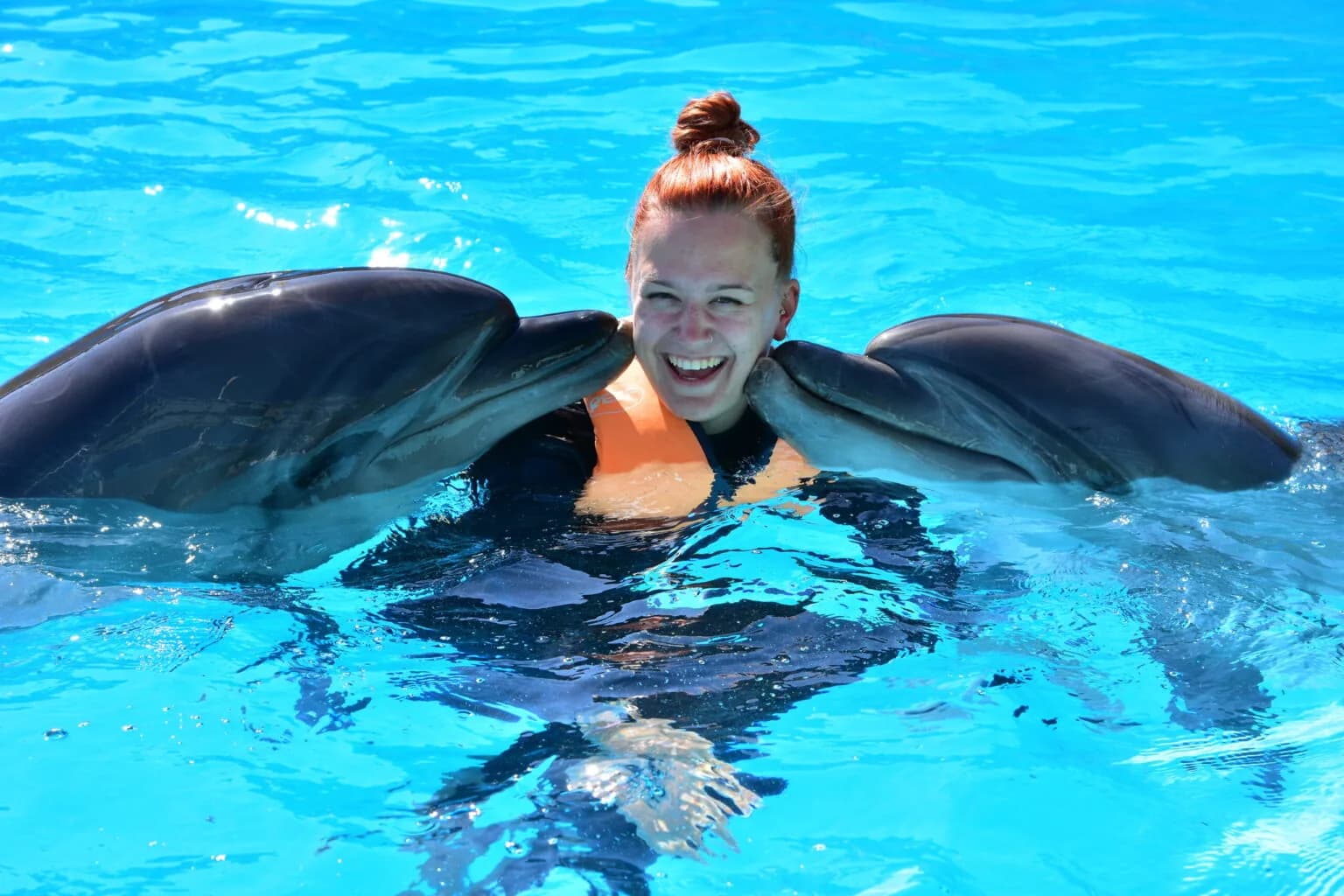 Trainers and dolphins mid-performance