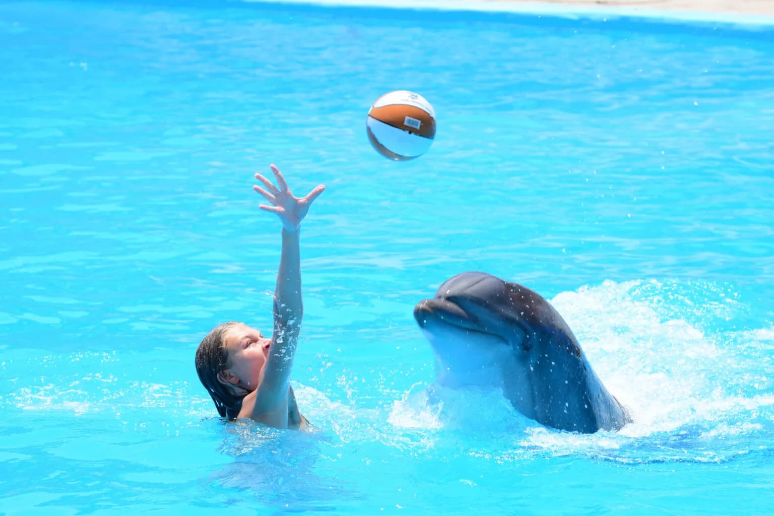 A swimmer playing ball with a dolphin