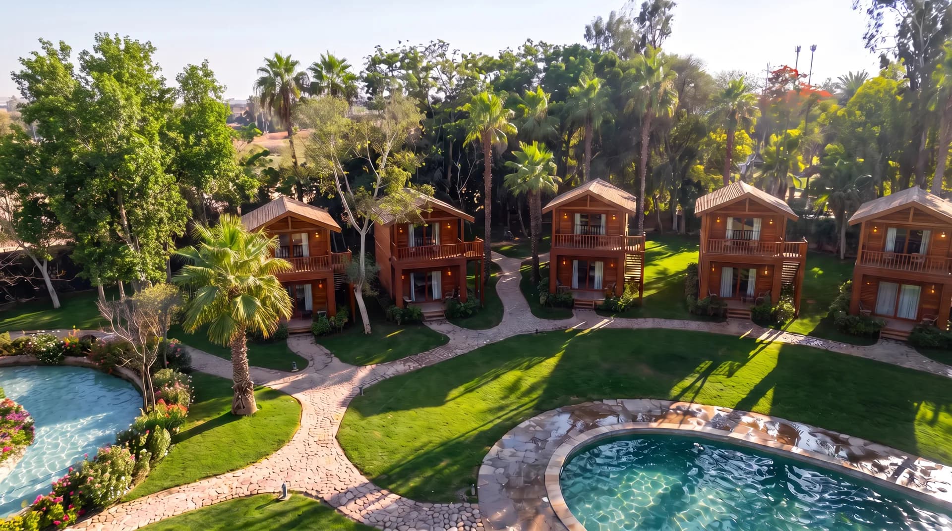 Forest lodges among the trees